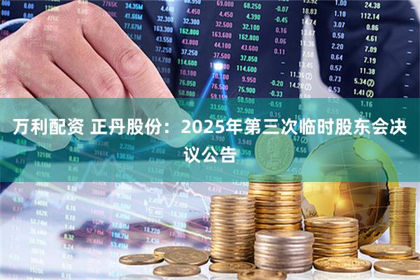 万利配资 正丹股份：2025年第三次临时股东会决议公告