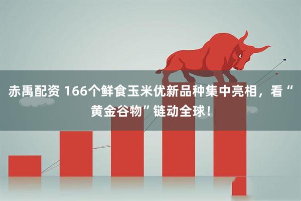 赤禹配资 166个鲜食玉米优新品种集中亮相，看“黄金谷物”链动全球！